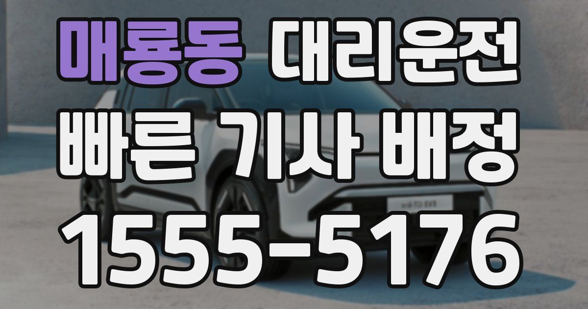 일일대리기사