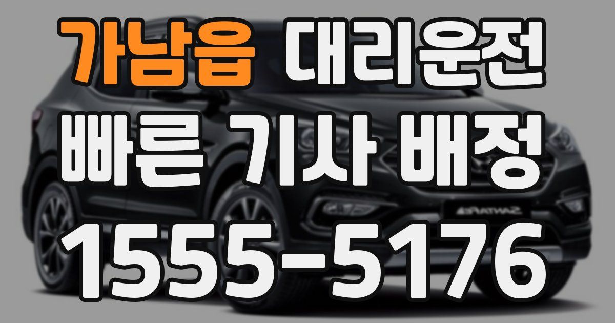 일일대리기사