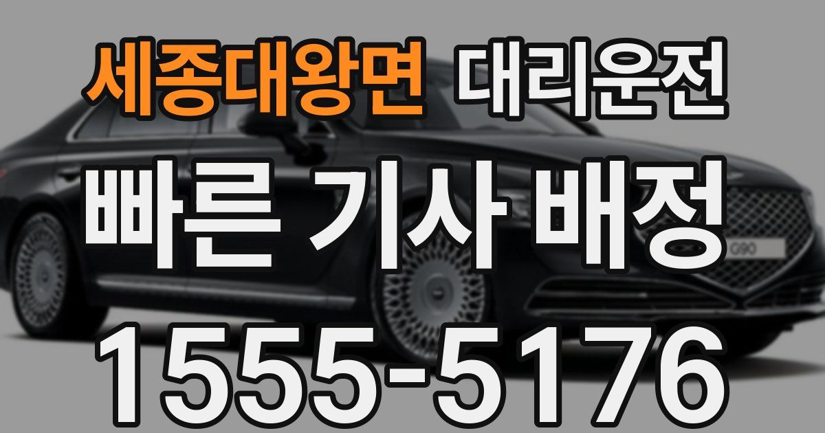 일일대리기사