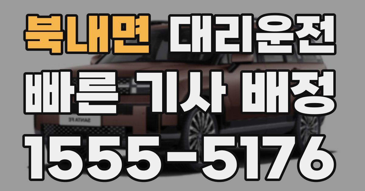 일일대리기사