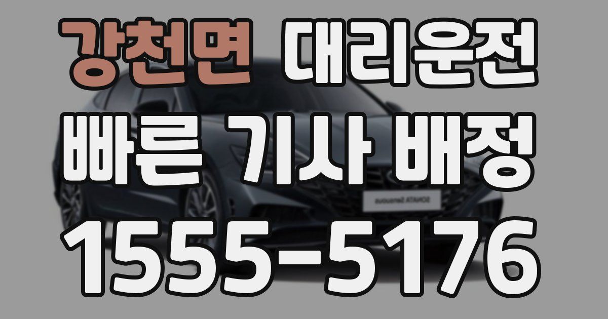 일일대리기사