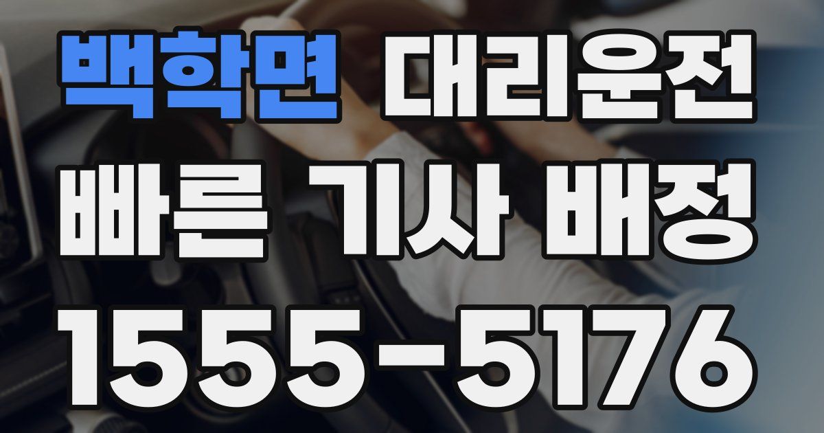 일일대리기사