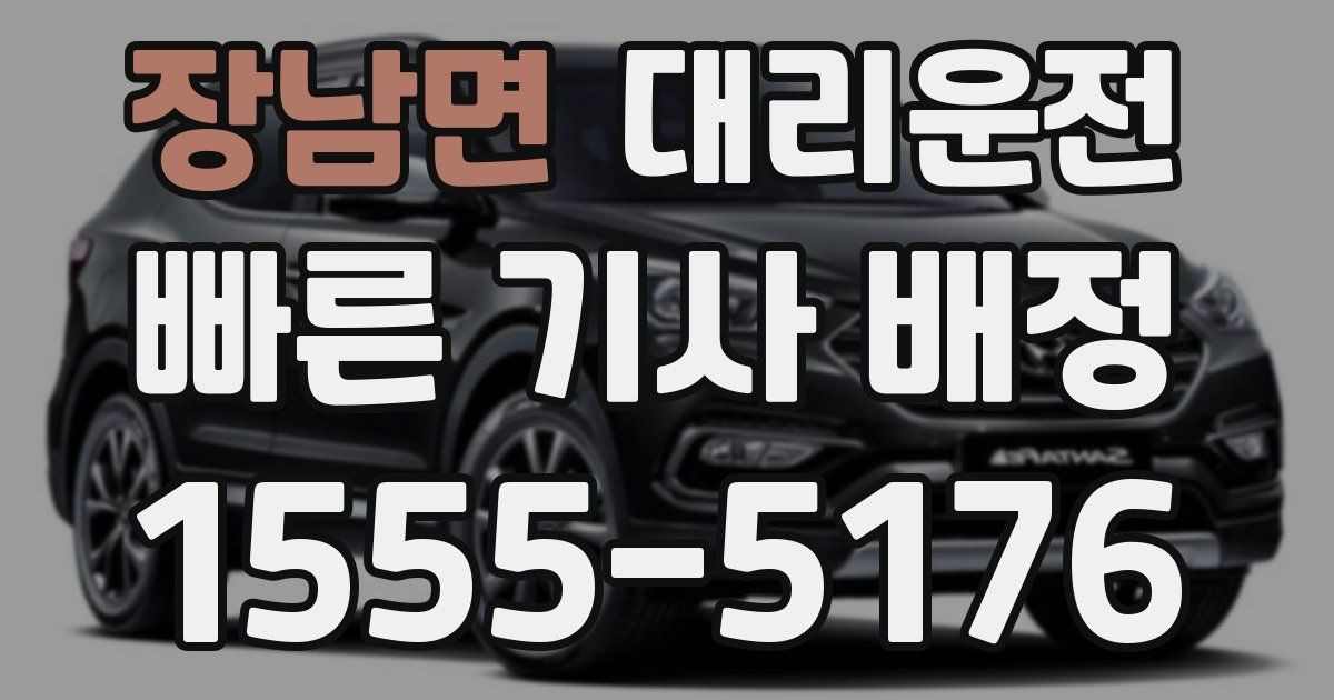 일일대리기사