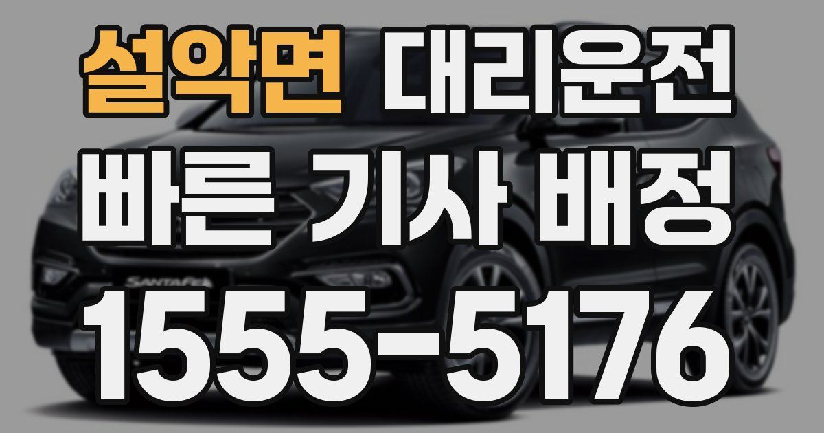 일일대리기사