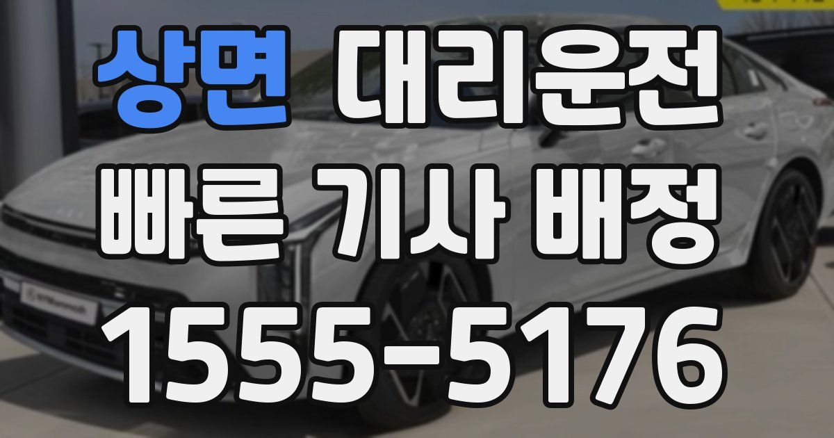 일일대리기사