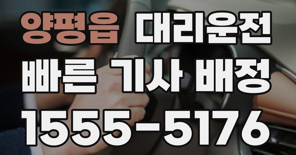 일일대리기사