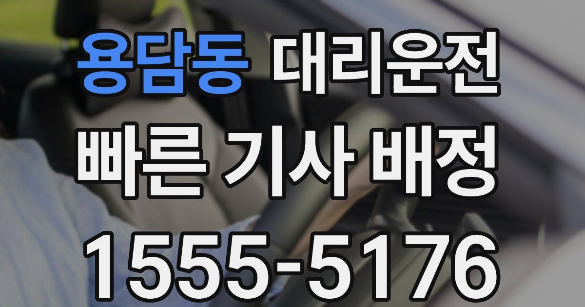 일일대리기사