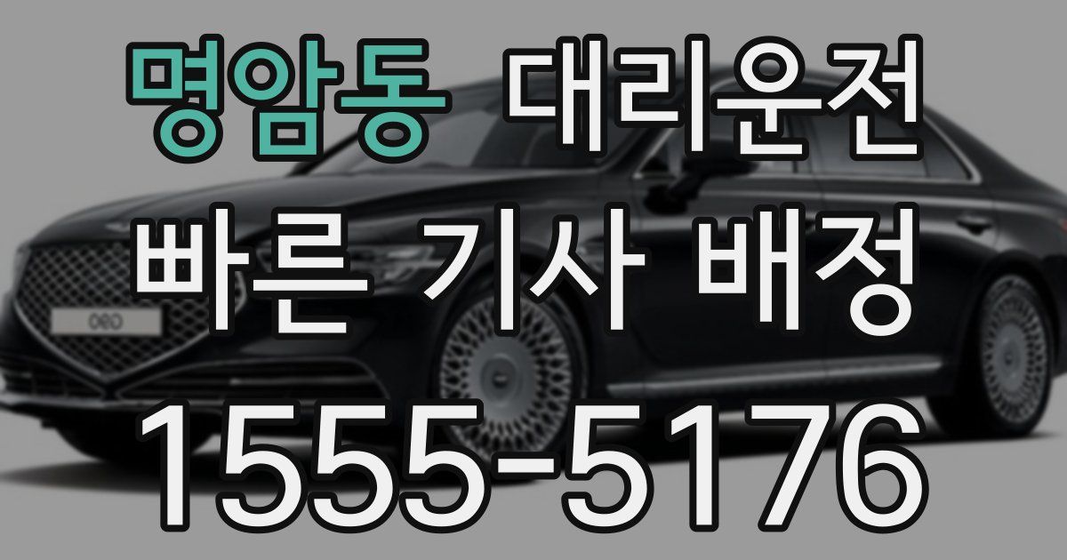 일일대리기사