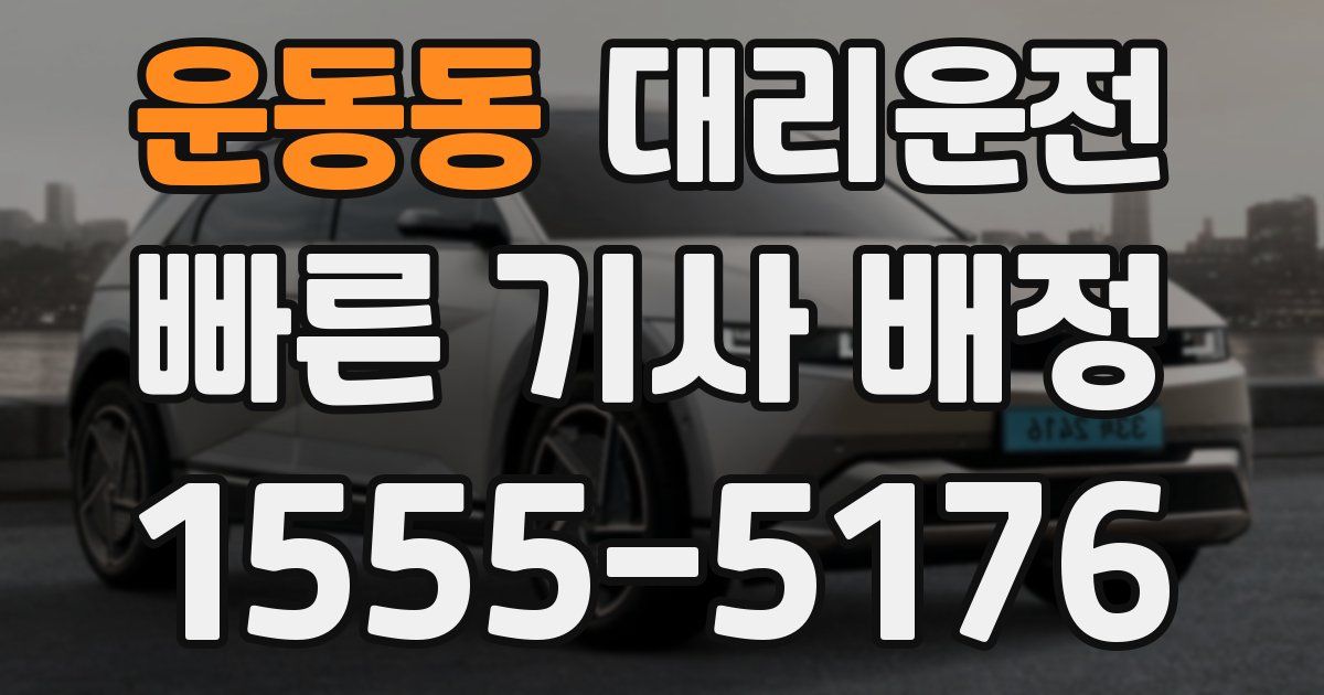 일일대리기사
