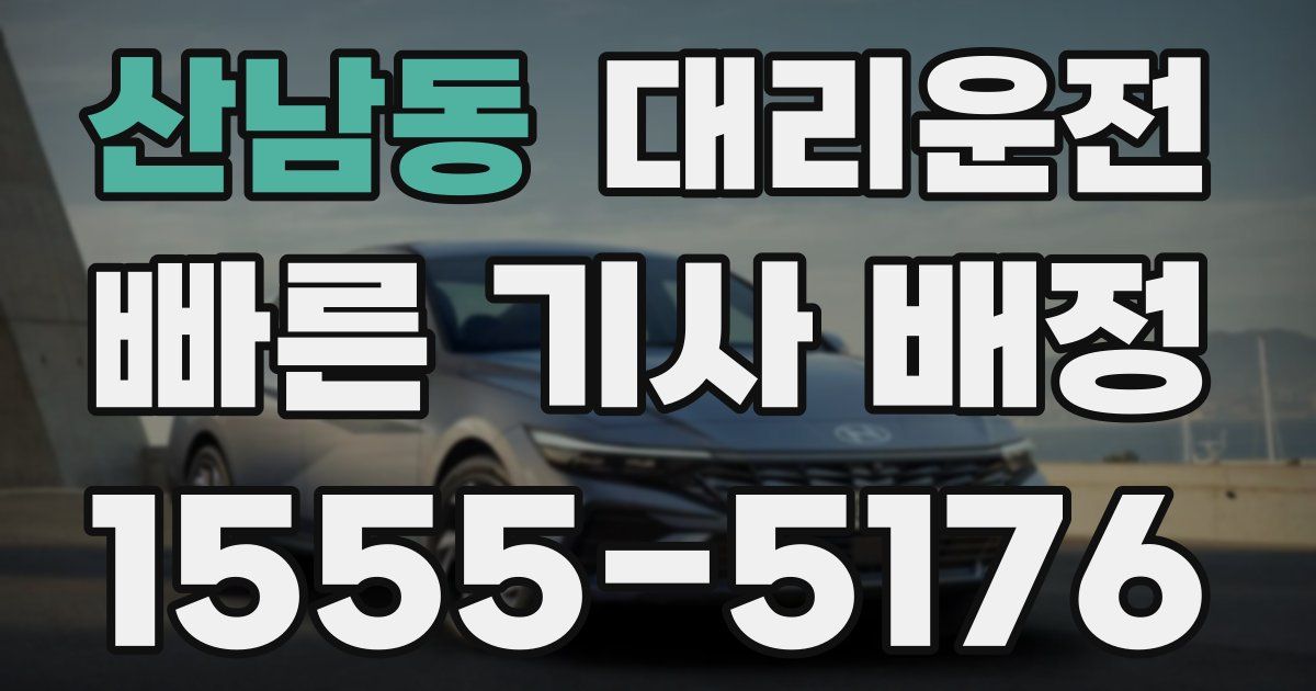 일일대리기사