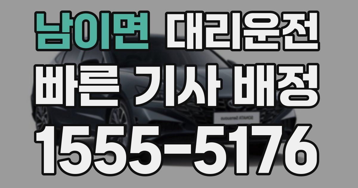 일일대리기사