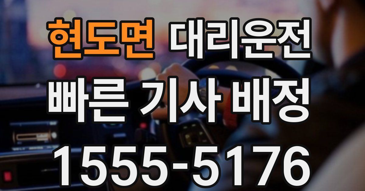 일일대리기사