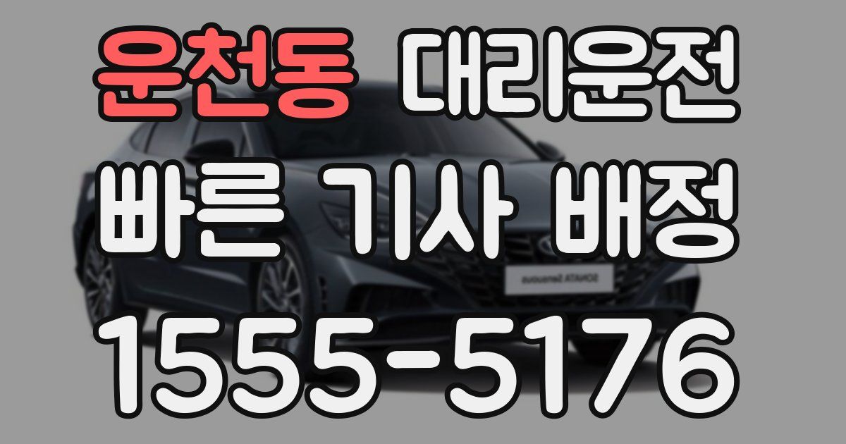 일일대리기사
