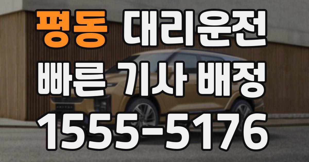 일일대리기사