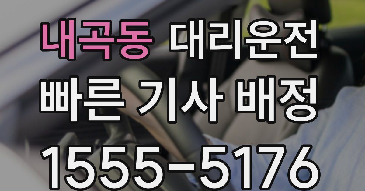 일일대리기사