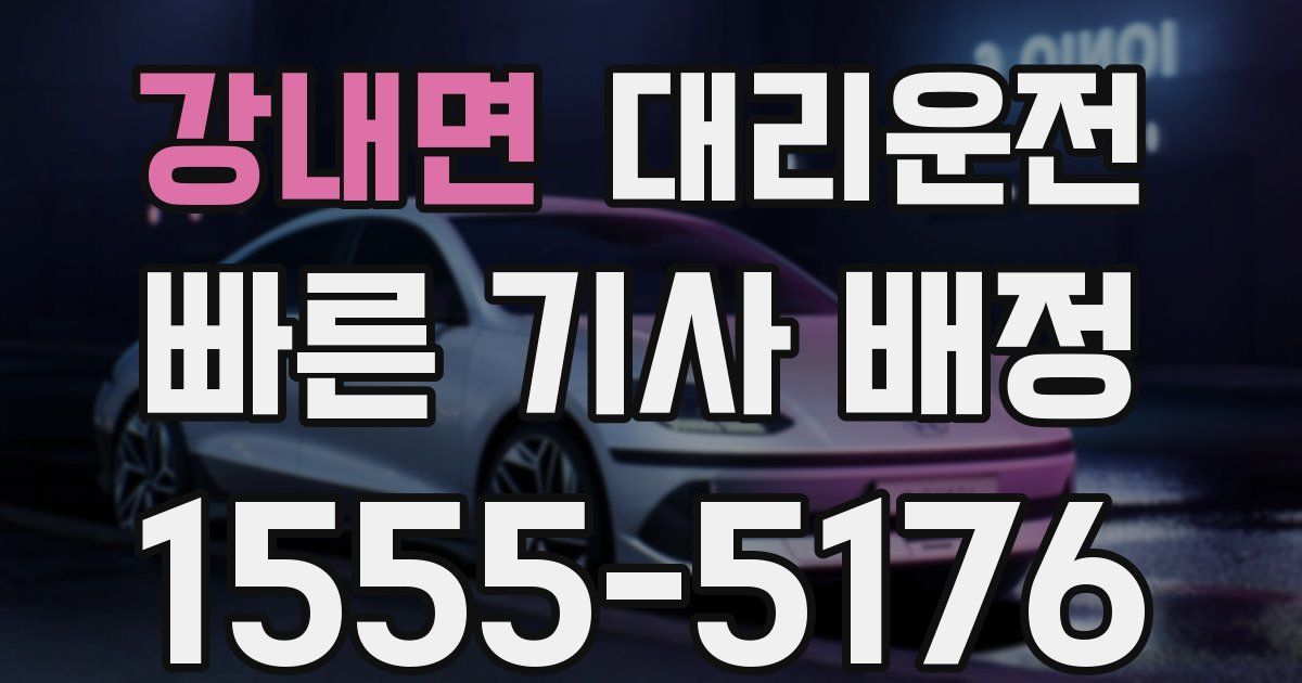 일일대리기사