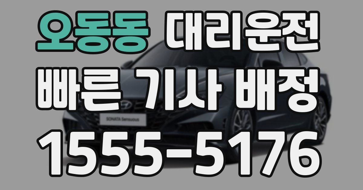 일일대리기사