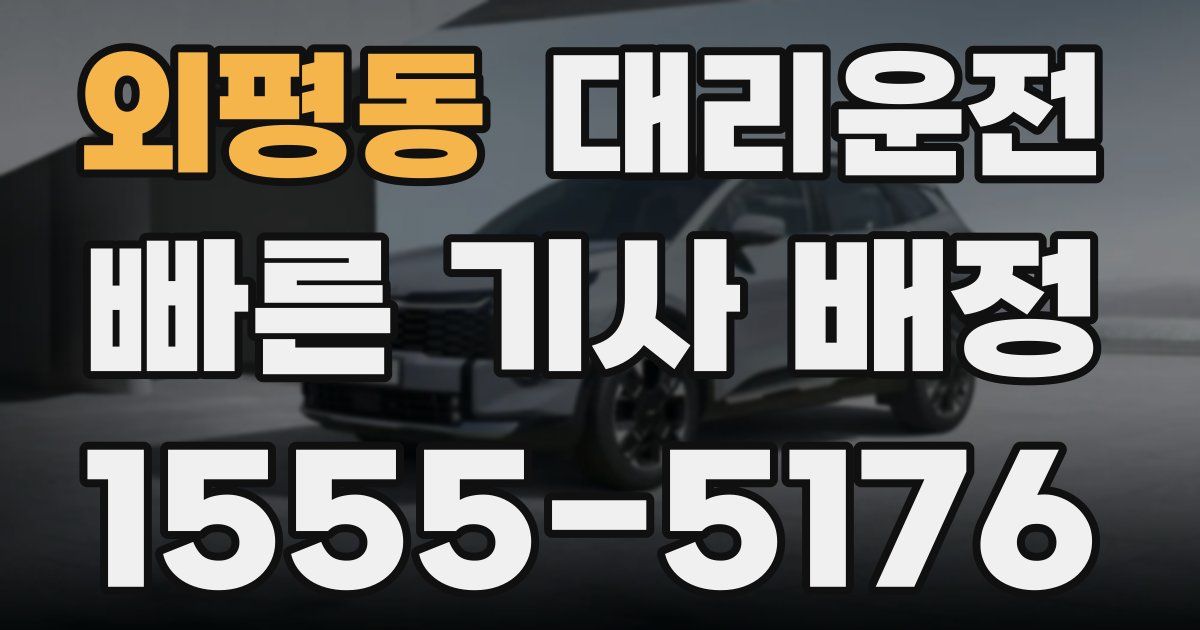 일일대리기사