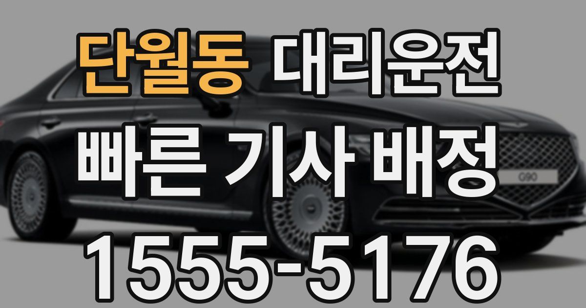 일일대리기사