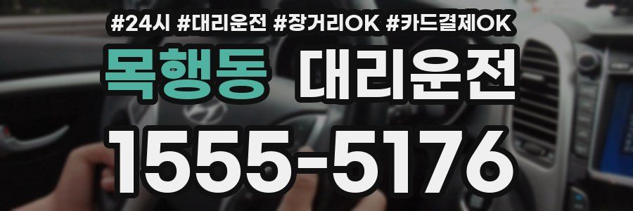 목행동 대리운전