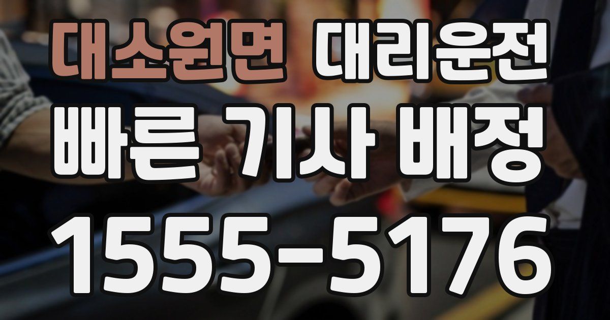 일일대리기사