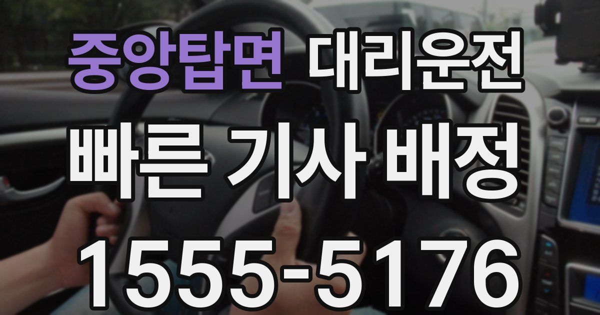 일일대리기사