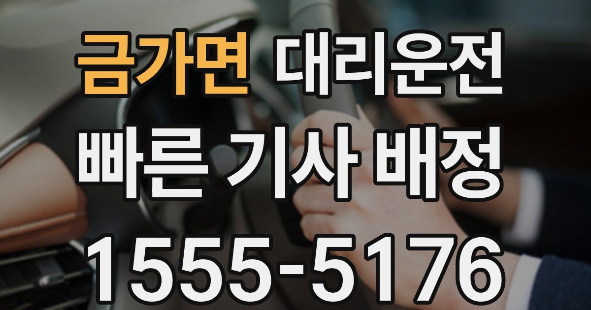 일일대리기사