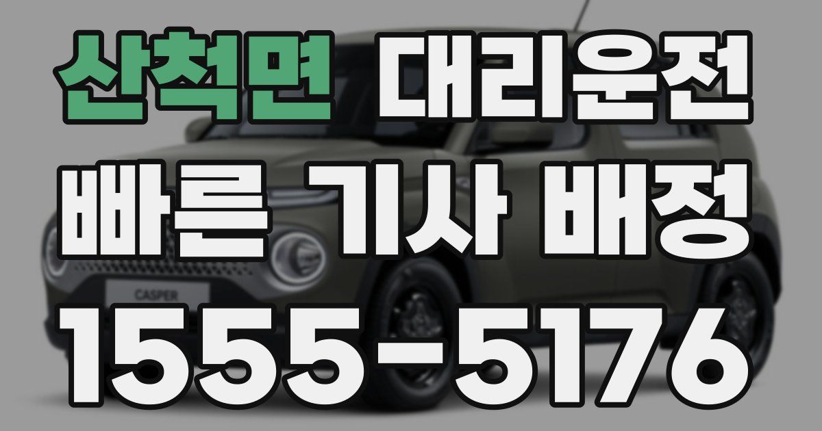 일일대리기사