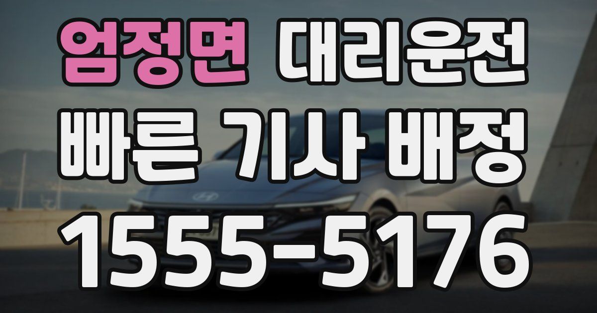 일일대리기사