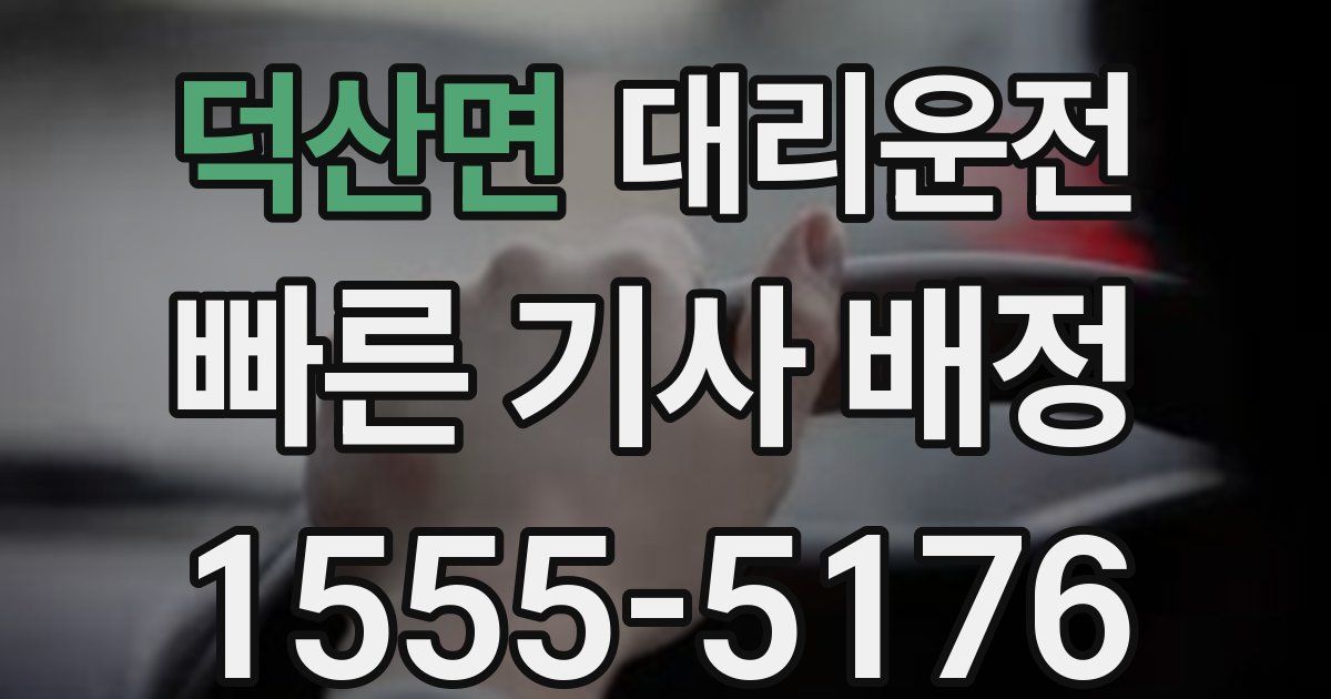 일일대리기사