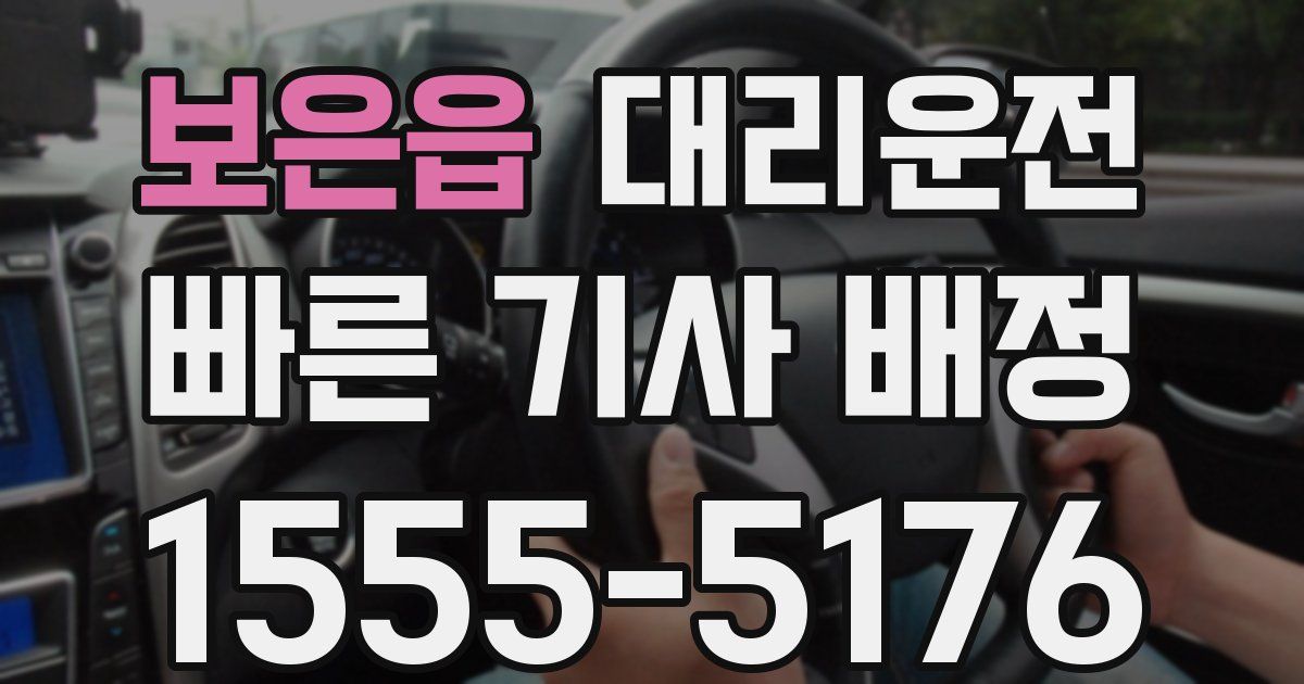 일일대리기사