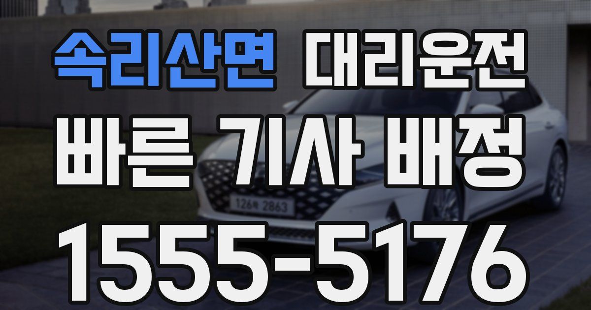 일일대리기사