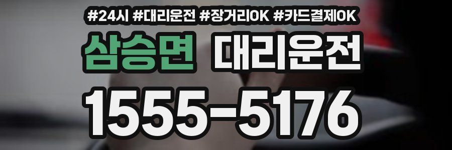 삼승면 대리운전