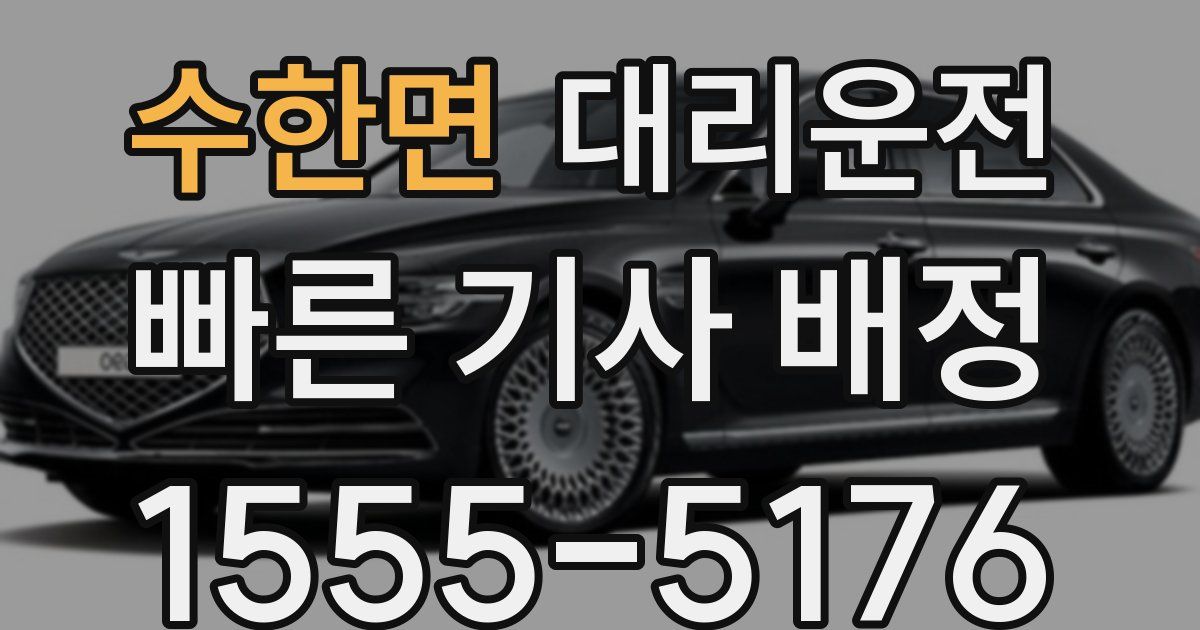 일일대리기사