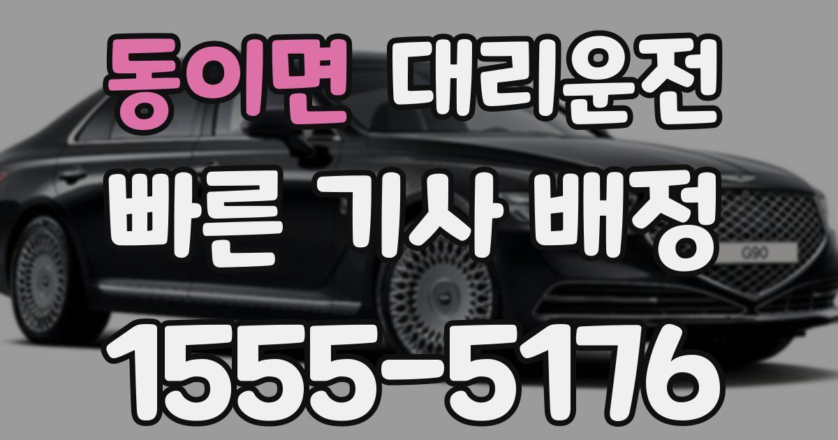 일일대리기사