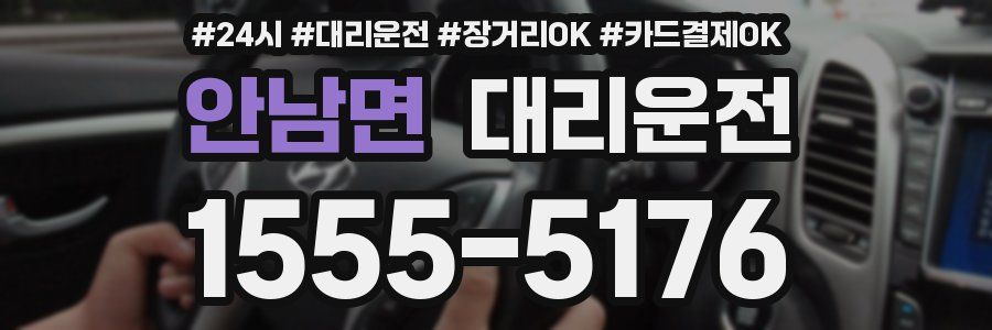 안남면 대리운전