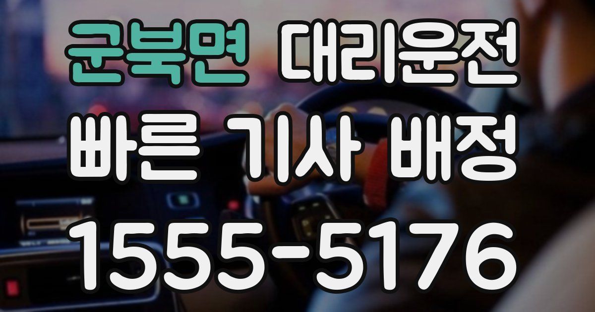 일일대리기사