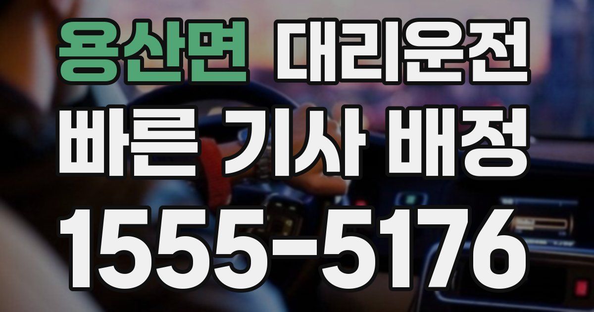 일일대리기사