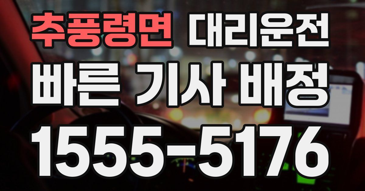일일대리기사