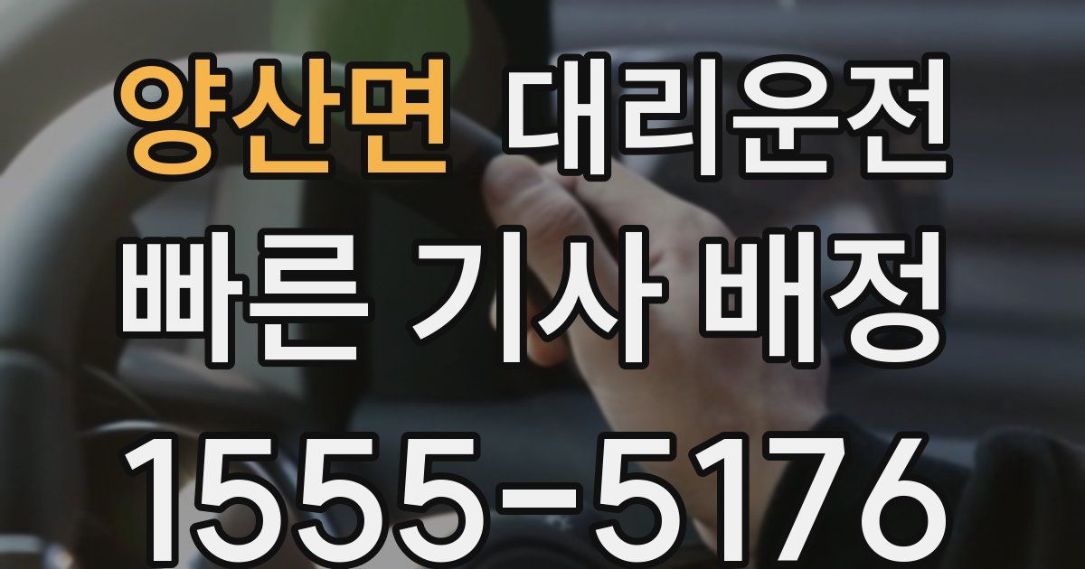 일일대리기사