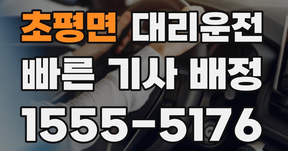 일일대리기사