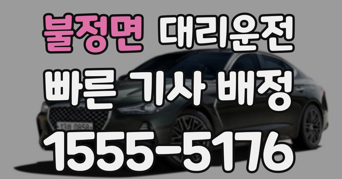 일일대리기사