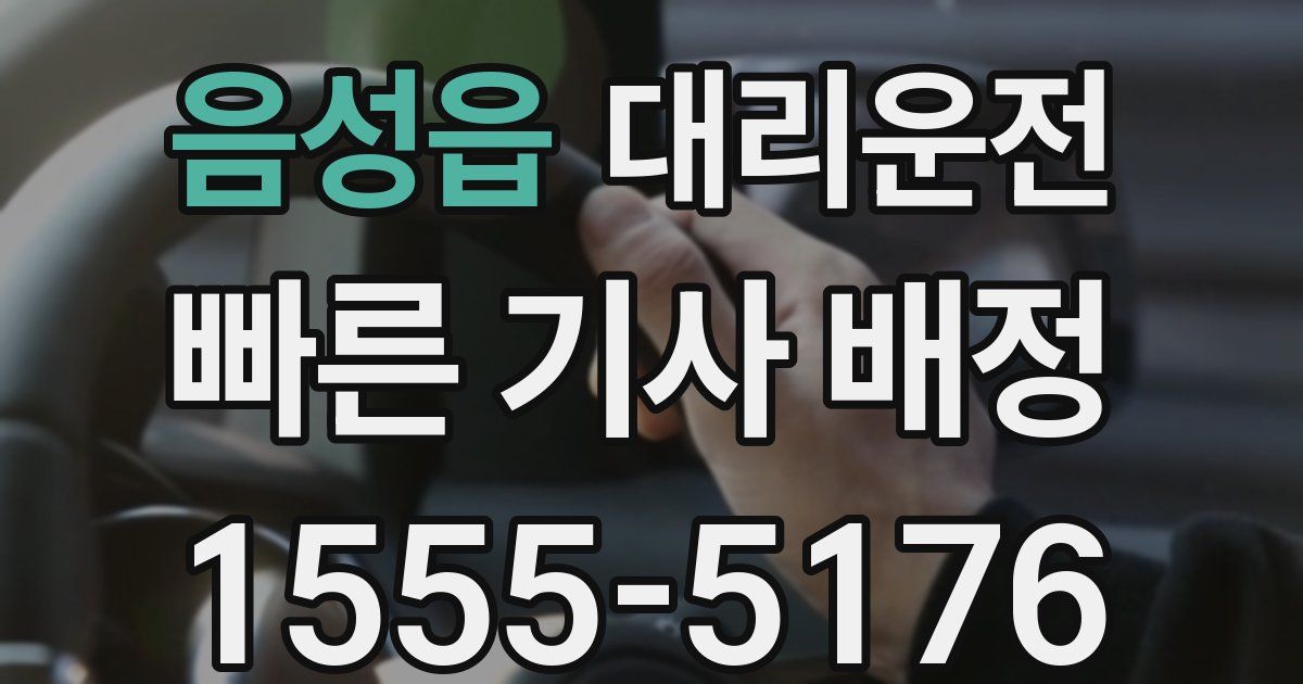 일일대리기사