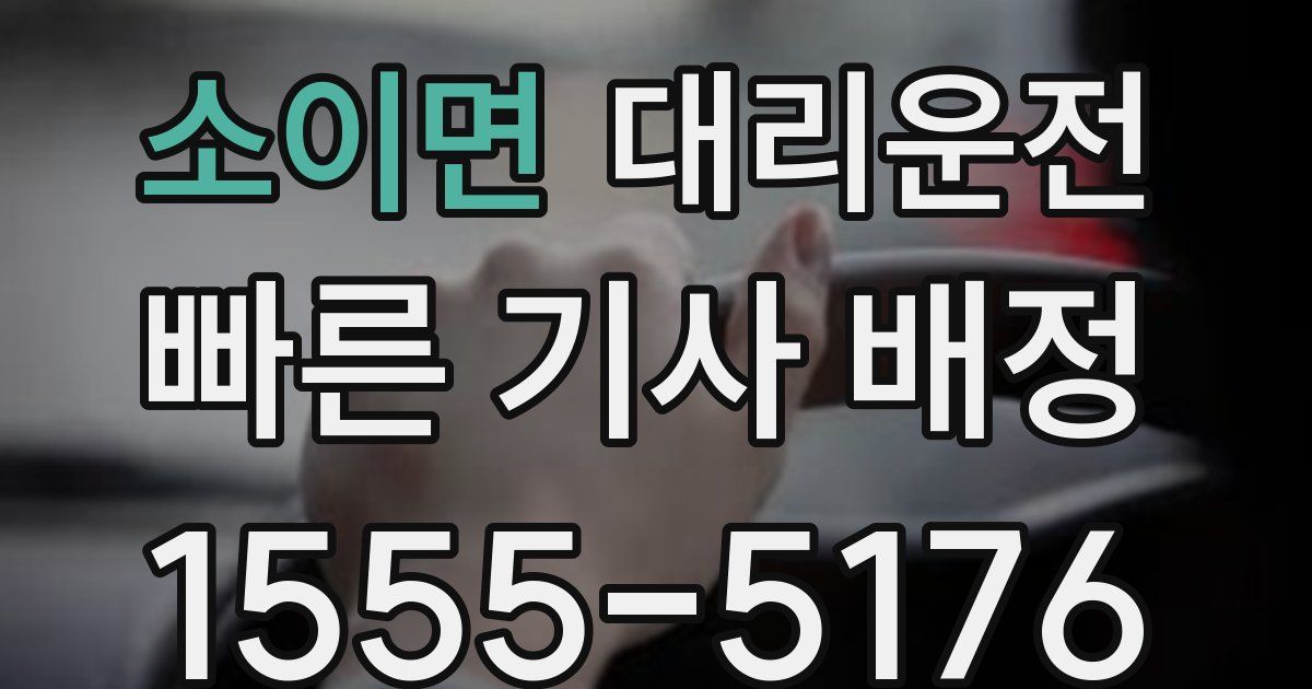 일일대리기사