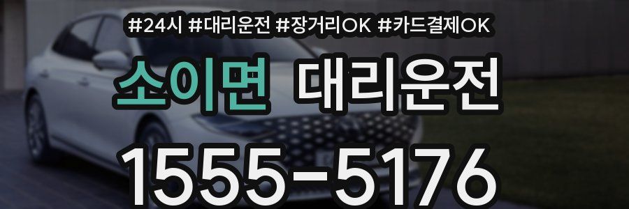 소이면 대리운전
