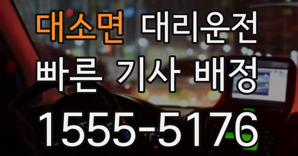 일일대리기사