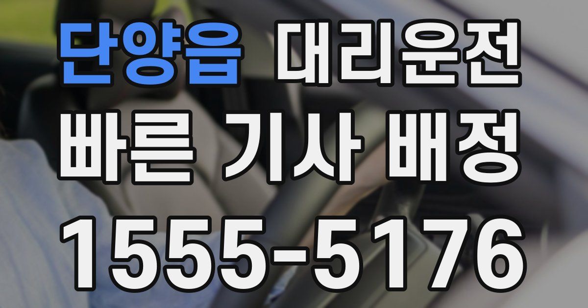 일일대리기사