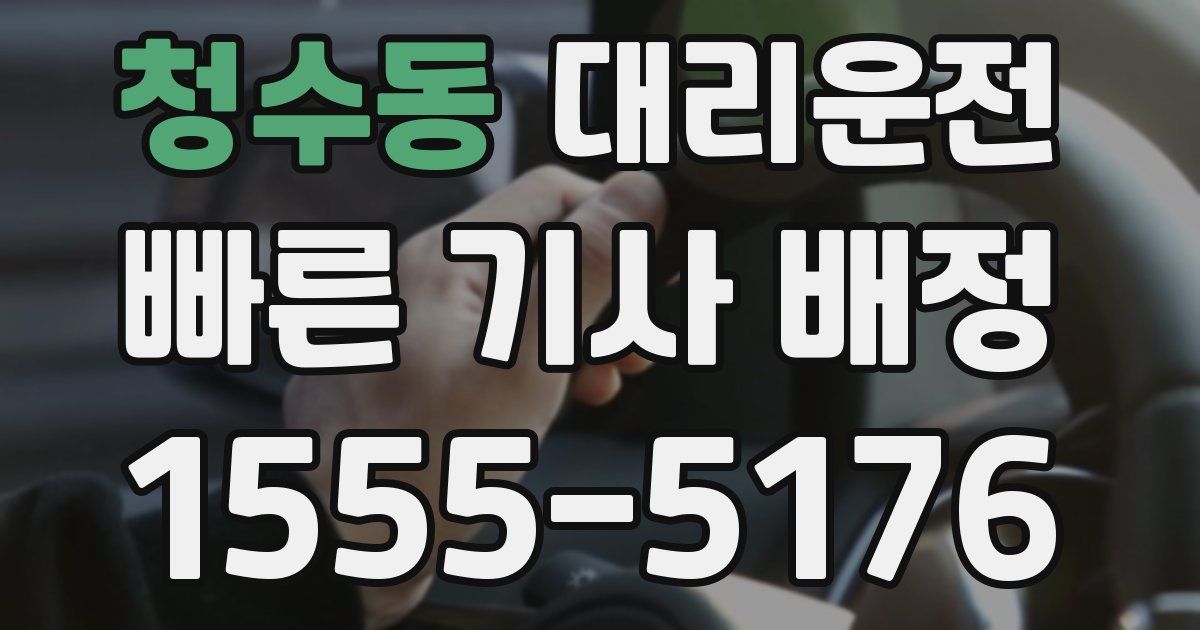 일일대리기사
