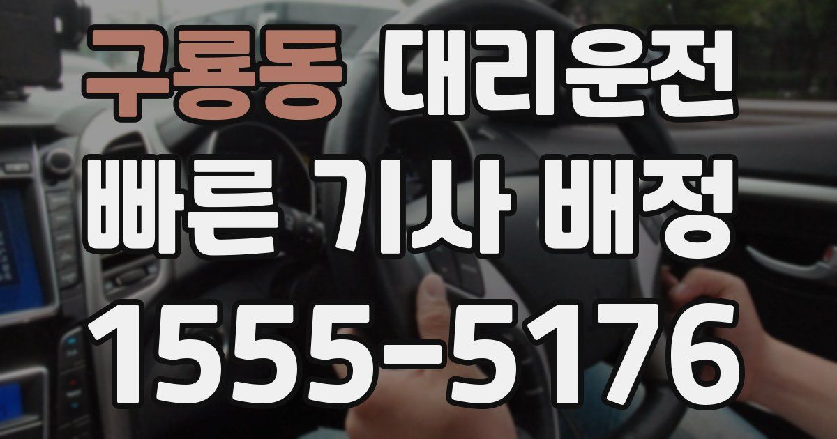 일일대리기사