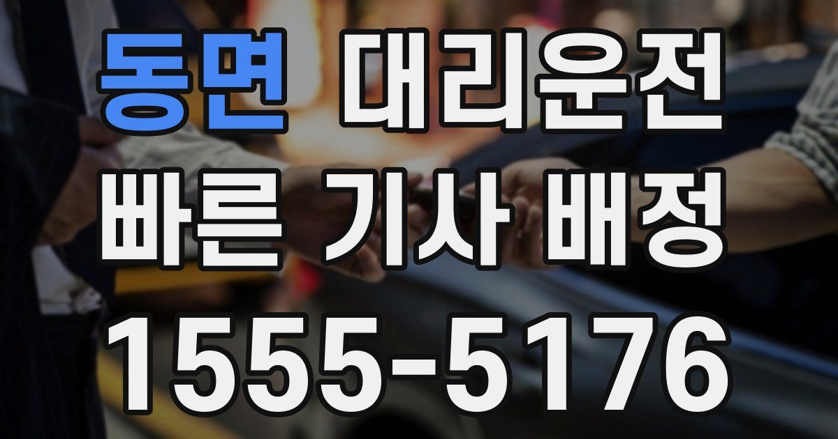 일일대리기사